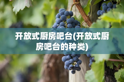 开放式厨房吧台(开放式厨房吧台的种类)
