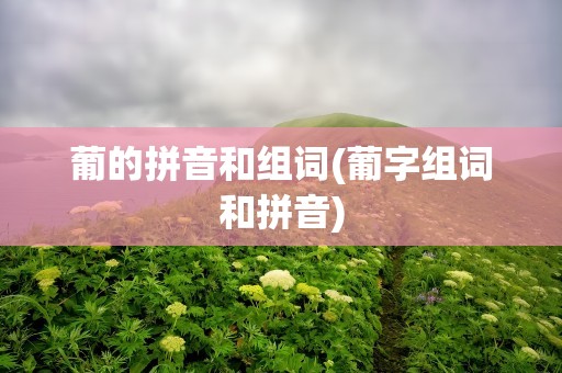 葡的拼音和组词(葡字组词和拼音)