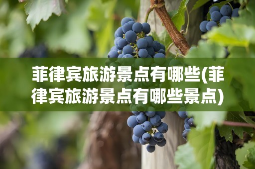 菲律宾旅游景点有哪些(菲律宾旅游景点有哪些景点)