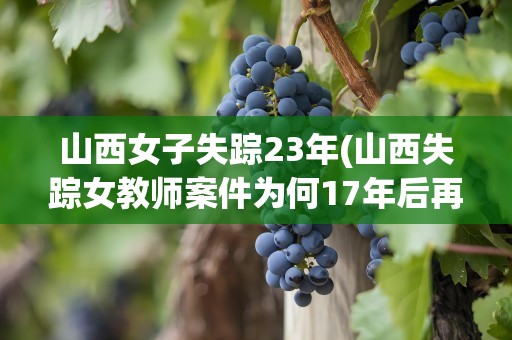 山西女子失踪23年(山西失踪女教师案件为何17年后再次开棺验尸呢)