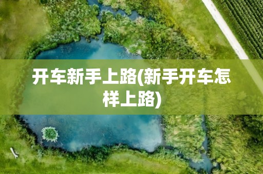 开车新手上路(新手开车怎样上路)