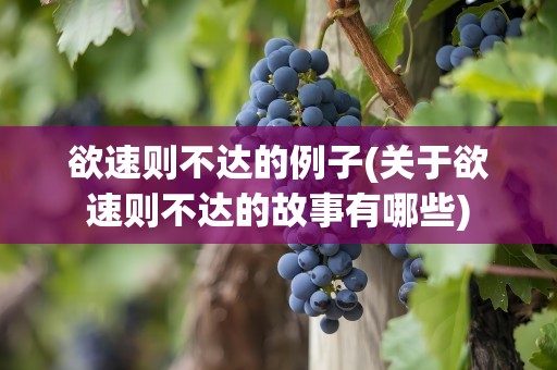 欲速则不达的例子(关于欲速则不达的故事有哪些)