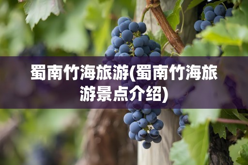 蜀南竹海旅游(蜀南竹海旅游景点介绍)