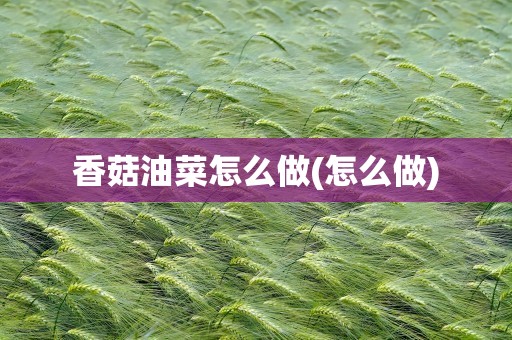 香菇油菜怎么做(怎么做)