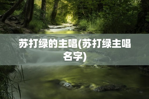 苏打绿的主唱(苏打绿主唱名字)