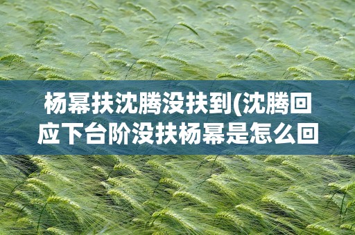 杨幂扶沈腾没扶到(沈腾回应下台阶没扶杨幂是怎么回事)