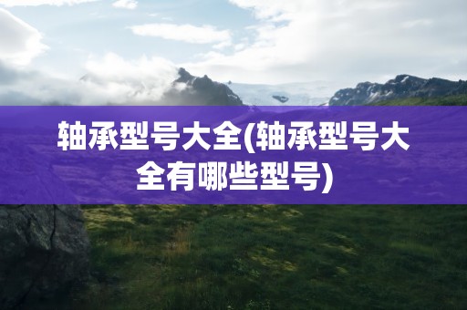 轴承型号大全(轴承型号大全有哪些型号)