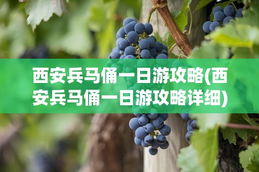 西安兵马俑一日游攻略(西安兵马俑一日游攻略详细)