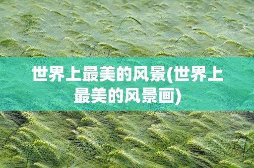 世界上最美的风景(世界上最美的风景画)