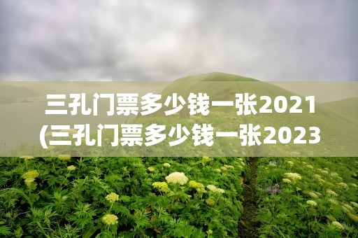 三孔门票多少钱一张2021(三孔门票多少钱一张2023)