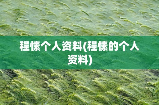 程愫个人资料(程愫的个人资料)