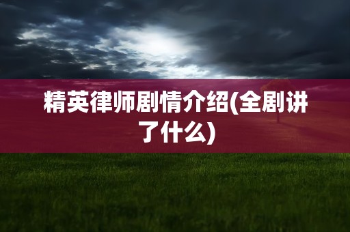 精英律师剧情介绍(全剧讲了什么)