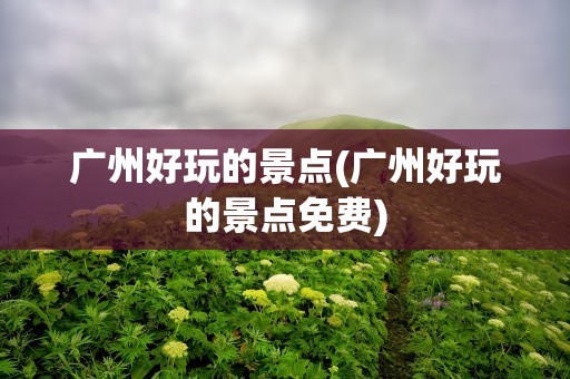 广州好玩的景点(广州好玩的景点免费)