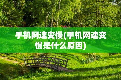 手机网速变慢(手机网速变慢是什么原因)