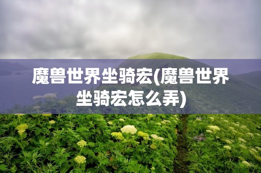 魔兽世界坐骑宏(魔兽世界坐骑宏怎么弄)
