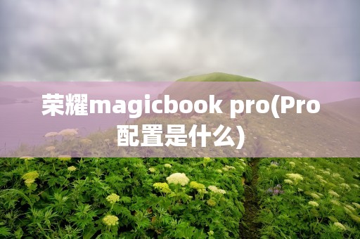 荣耀magicbook pro(Pro配置是什么)