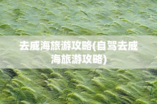 去威海旅游攻略(自驾去威海旅游攻略)