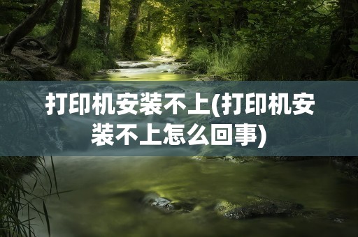 打印机安装不上(打印机安装不上怎么回事)