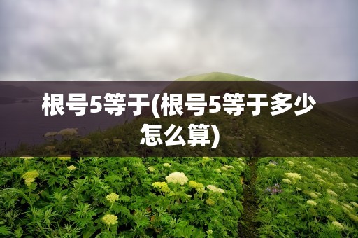 根号5等于(根号5等于多少怎么算)