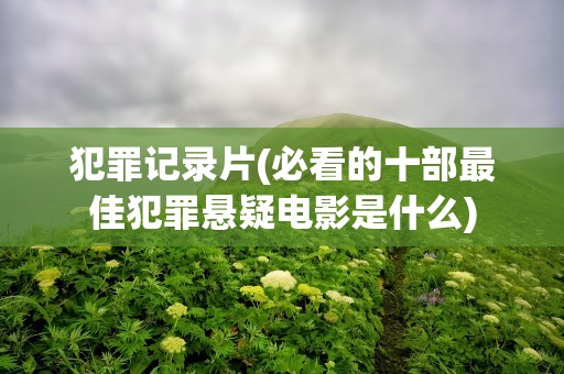 犯罪记录片(必看的十部最佳犯罪悬疑电影是什么)