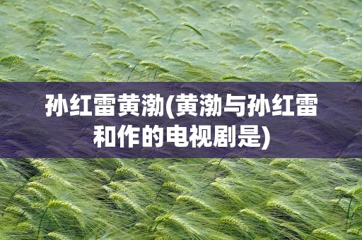 孙红雷黄渤(黄渤与孙红雷和作的电视剧是)