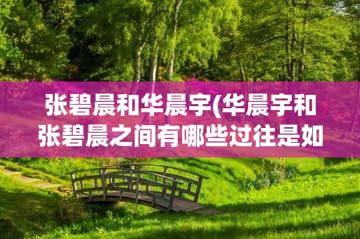张碧晨和华晨宇(华晨宇和张碧晨之间有哪些过往是如何相识的)