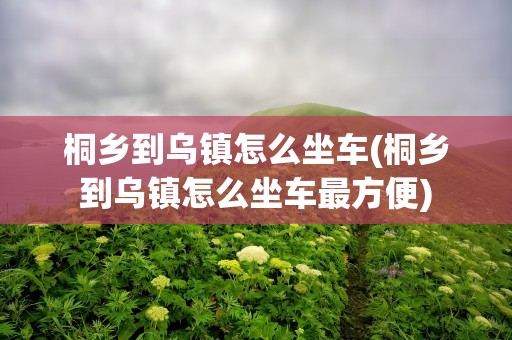 桐乡到乌镇怎么坐车(桐乡到乌镇怎么坐车最方便)