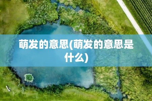 萌发的意思(萌发的意思是什么)