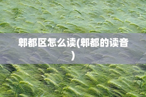 郫都区怎么读(郫都的读音)