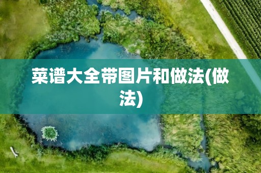 菜谱大全带图片和做法(做法)