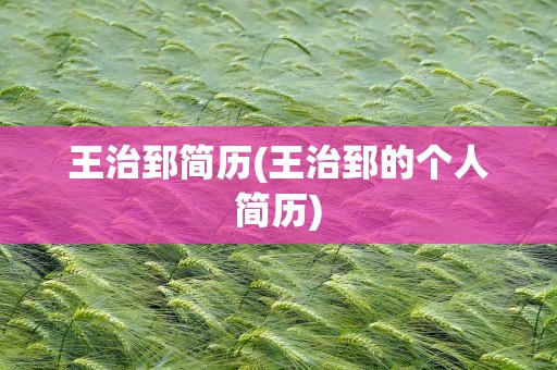 王治郅简历(王治郅的个人简历)