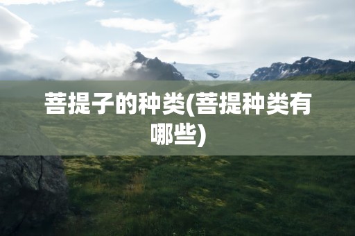 菩提子的种类(菩提种类有哪些)
