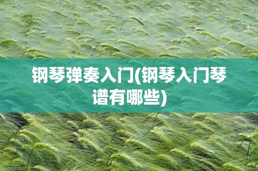 钢琴弹奏入门(钢琴入门琴谱有哪些)
