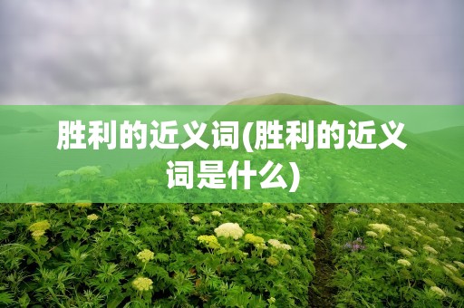 胜利的近义词(胜利的近义词是什么)