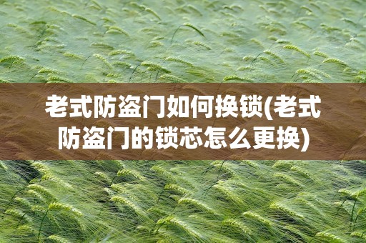 老式防盗门如何换锁(老式防盗门的锁芯怎么更换)