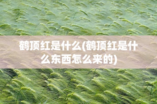 鹤顶红是什么(鹤顶红是什么东西怎么来的)