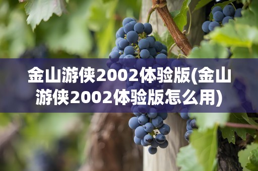 金山游侠2002体验版(金山游侠2002体验版怎么用)