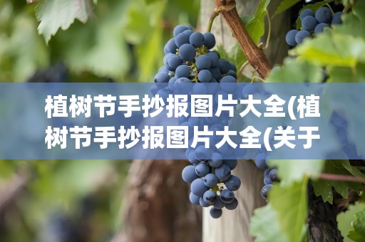 植树节手抄报图片大全(植树节手抄报图片大全(关于植树节的手抄报图片内容大全))