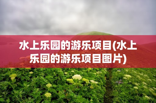 水上乐园的游乐项目(水上乐园的游乐项目图片)