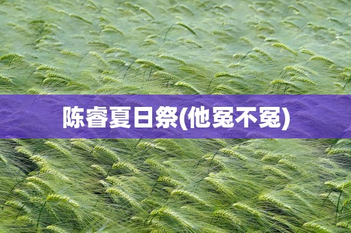 陈睿夏日祭(他冤不冤)