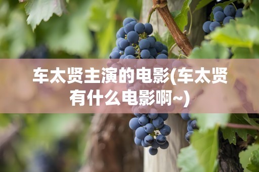 车太贤主演的电影(车太贤有什么电影啊~)