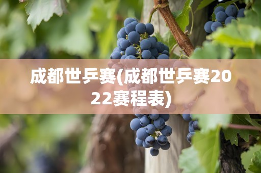 成都世乒赛(成都世乒赛2022赛程表)