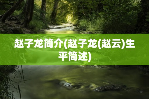 赵子龙简介(赵子龙(赵云)生平简述)
