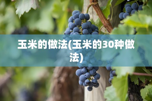 玉米的做法(玉米的30种做法)
