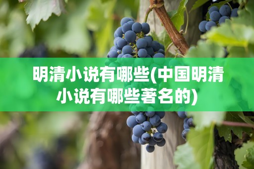 明清小说有哪些(中国明清小说有哪些著名的)