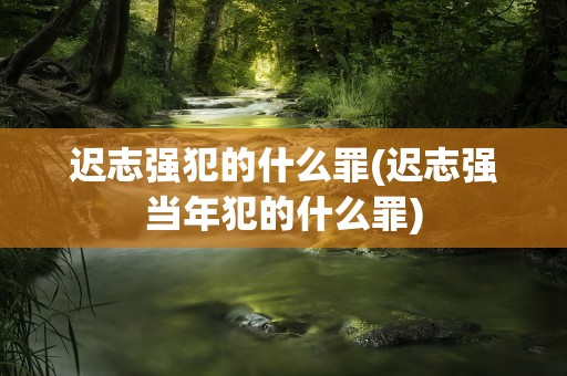 迟志强犯的什么罪(迟志强当年犯的什么罪)