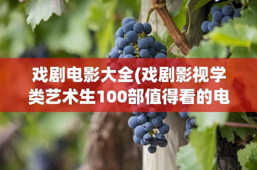 戏剧电影大全(戏剧影视学类艺术生100部值得看的电影)
