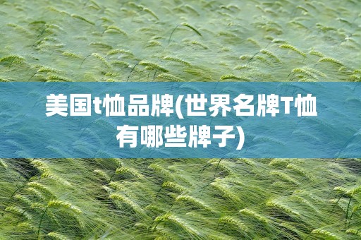 美国t恤品牌(世界名牌T恤有哪些牌子)