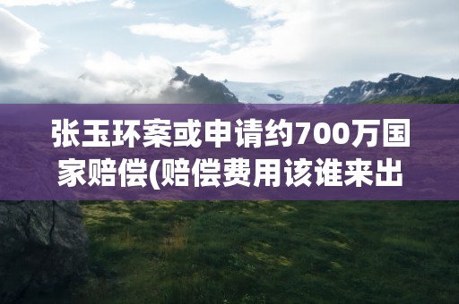 张玉环案或申请约700万国家赔偿(赔偿费用该谁来出)