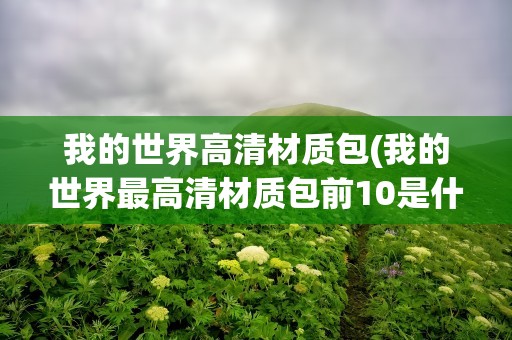 我的世界高清材质包(我的世界最高清材质包前10是什么)